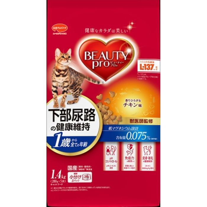 ӥ塼ƥץǭ1Ф顡14 ¾ ¾顼 ӥХۡ