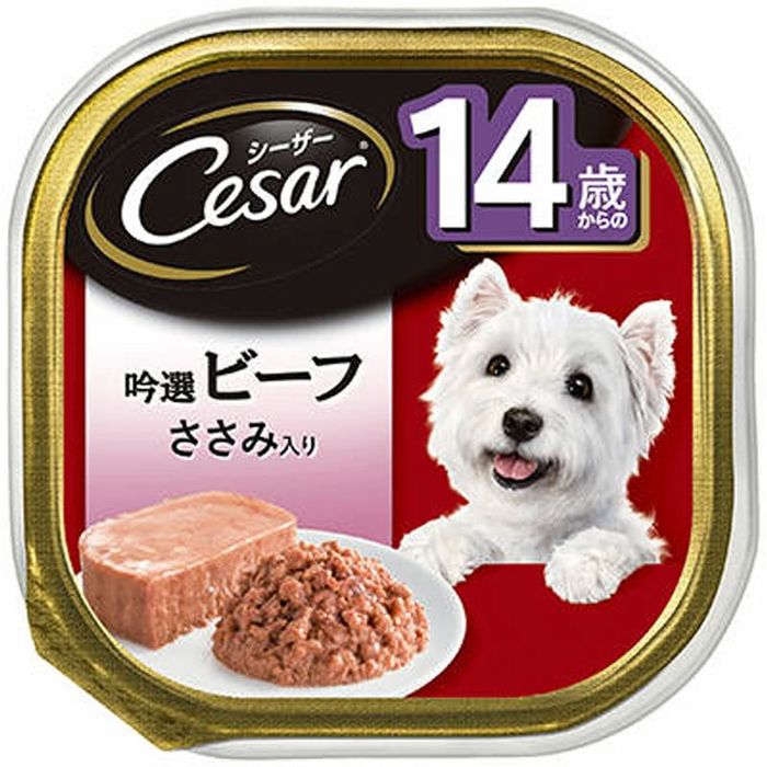 14Фζӡաꡡ100 100g ¾顼 ӥХۡ
