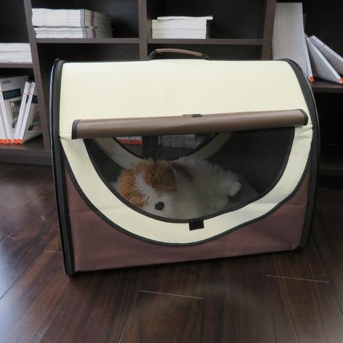 ドーム型折りたたみ式ケージ Mサイズ ブラウン（M） ビバホームの画像