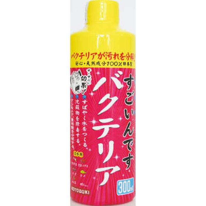 RguL@ł@oNeA 300ml ̑J[Q roz[