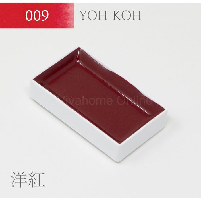 g ʒPF(9)mg KS10009 PF mg roz[