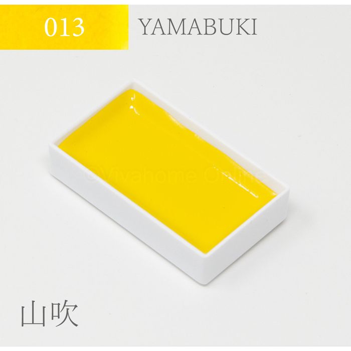 g ʒPF(13)R KS10013 PF R roz[