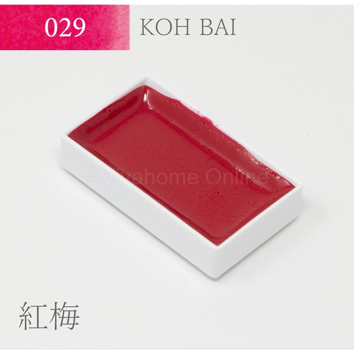 g ʒPF(29)g~ KS10029 PF g~ roz[