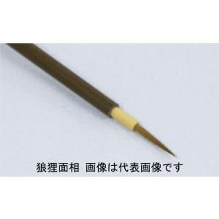 听 TKʑ([) (81355004) {EfUCM TKʑ([) fUCE{M roz[