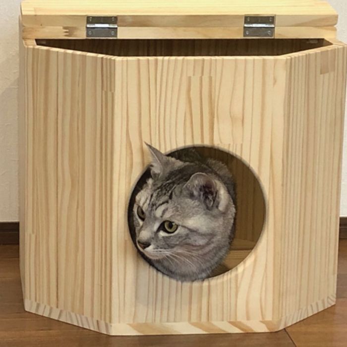 キャットハウス/おうちでにゃん おうちでにゃん ナチュラル ビバホーム
