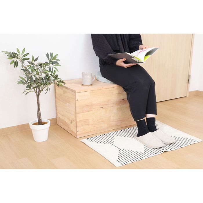 不二貿易（Fuji Boeki） NS TATAMI 収納ベンチ （ベースタイプ