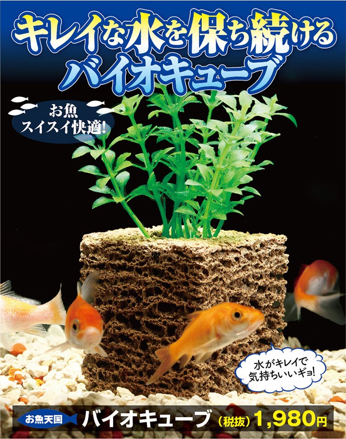 pd-biocube-03.jpg