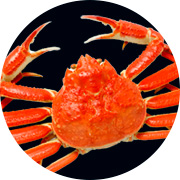 かに