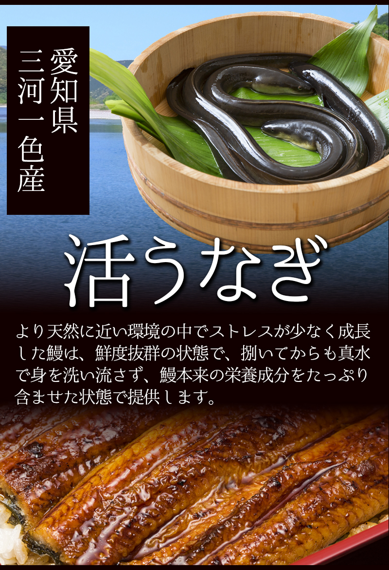 うなぎ 国産 刻み 訳あり