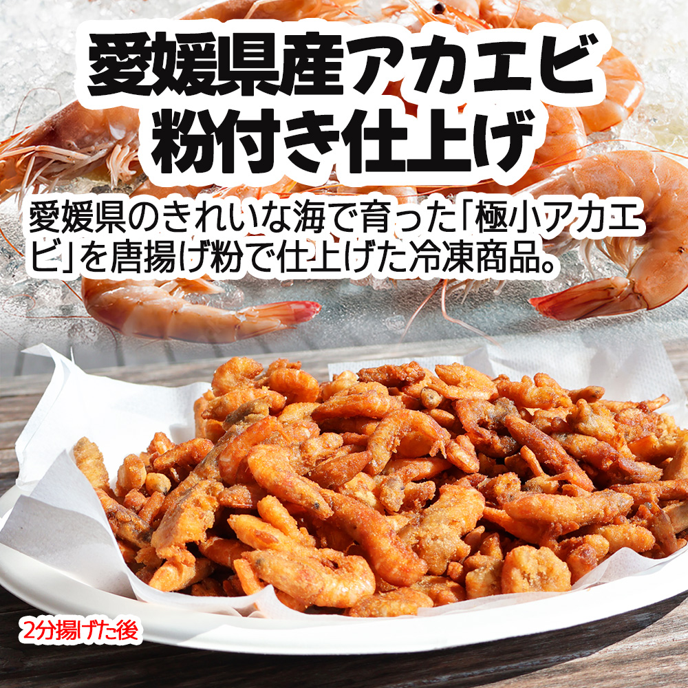 えび 国産 愛媛県産