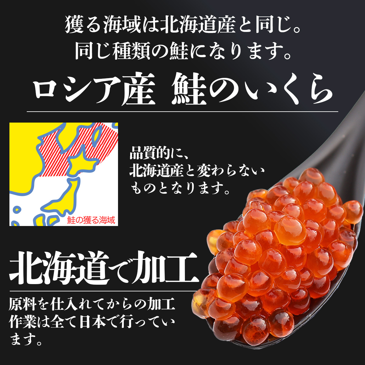 いくら 醤油漬け 北海道 鮭 高級