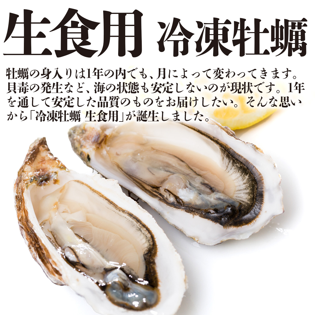 牡蠣 殻付き 生食用