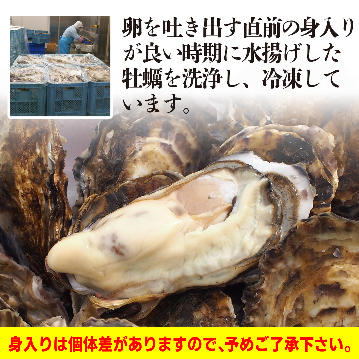 牡蠣 身入り