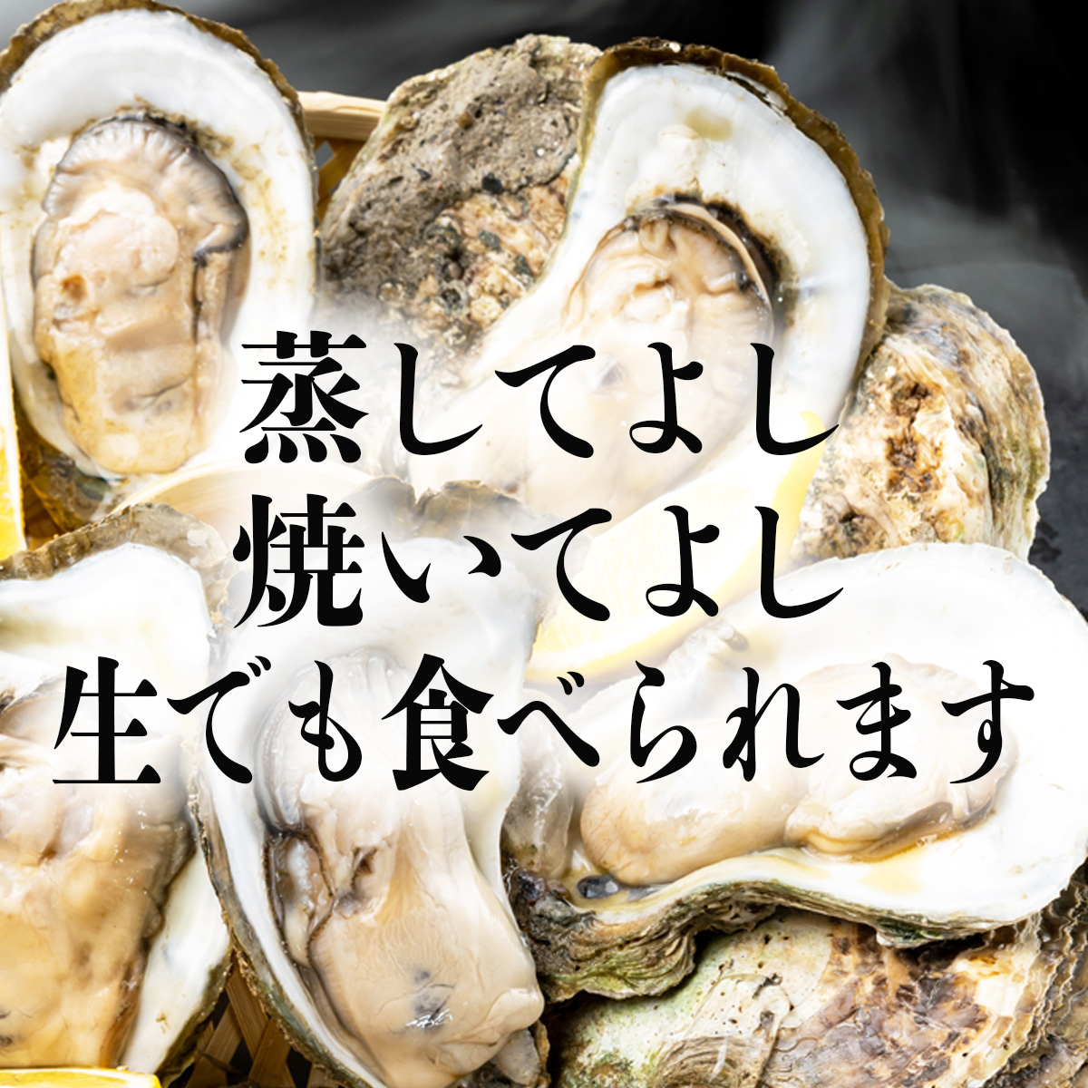 牡蠣 殻付き 焼き牡蠣 蒸し