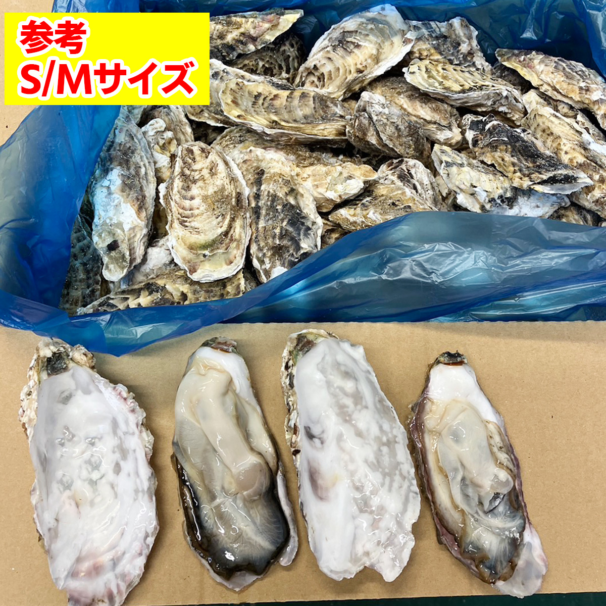 牡蠣 大きさ参考 sm