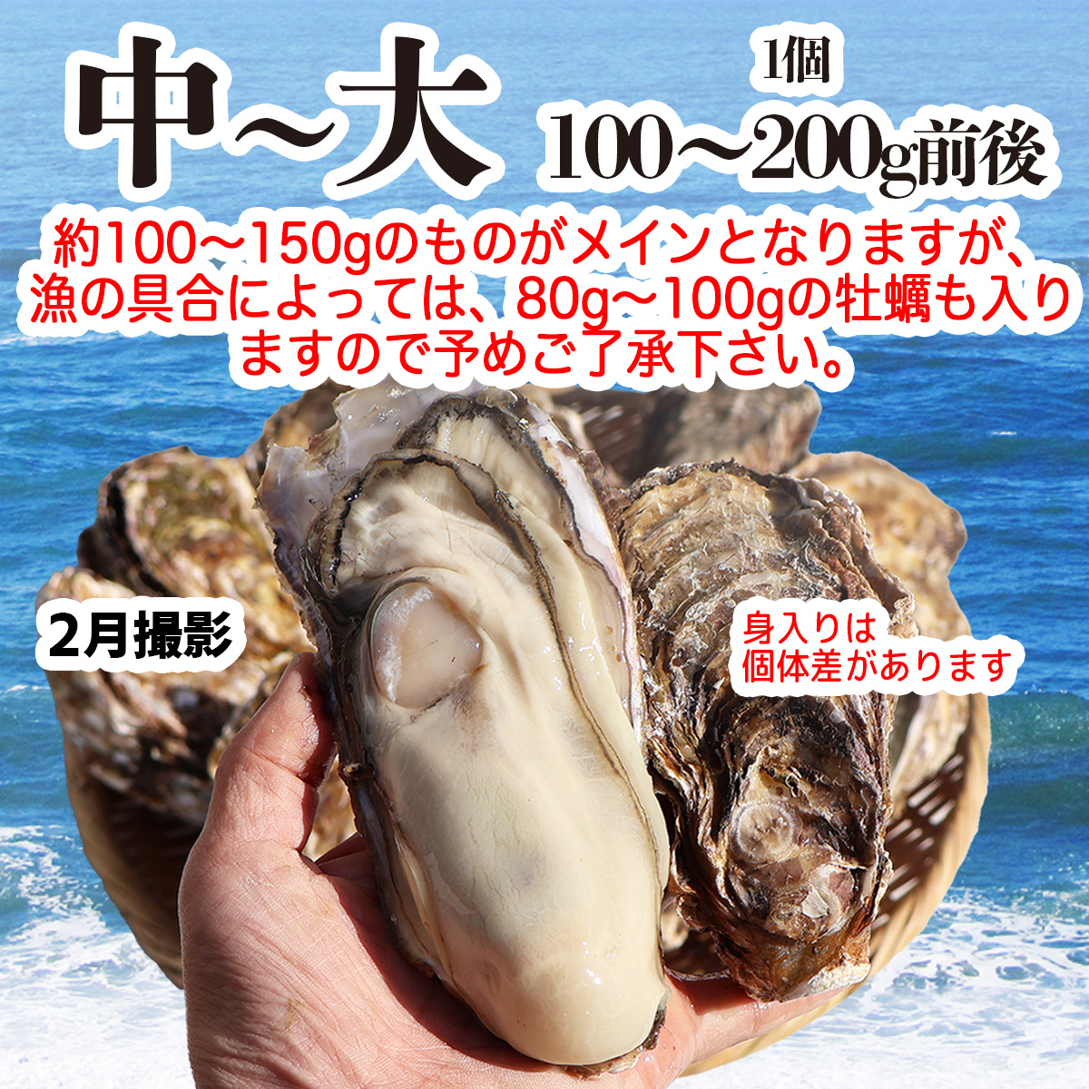 牡蠣 生食用 大粒サイズ