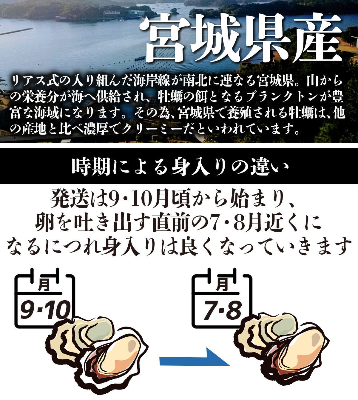 牡蠣 宮城県 三陸