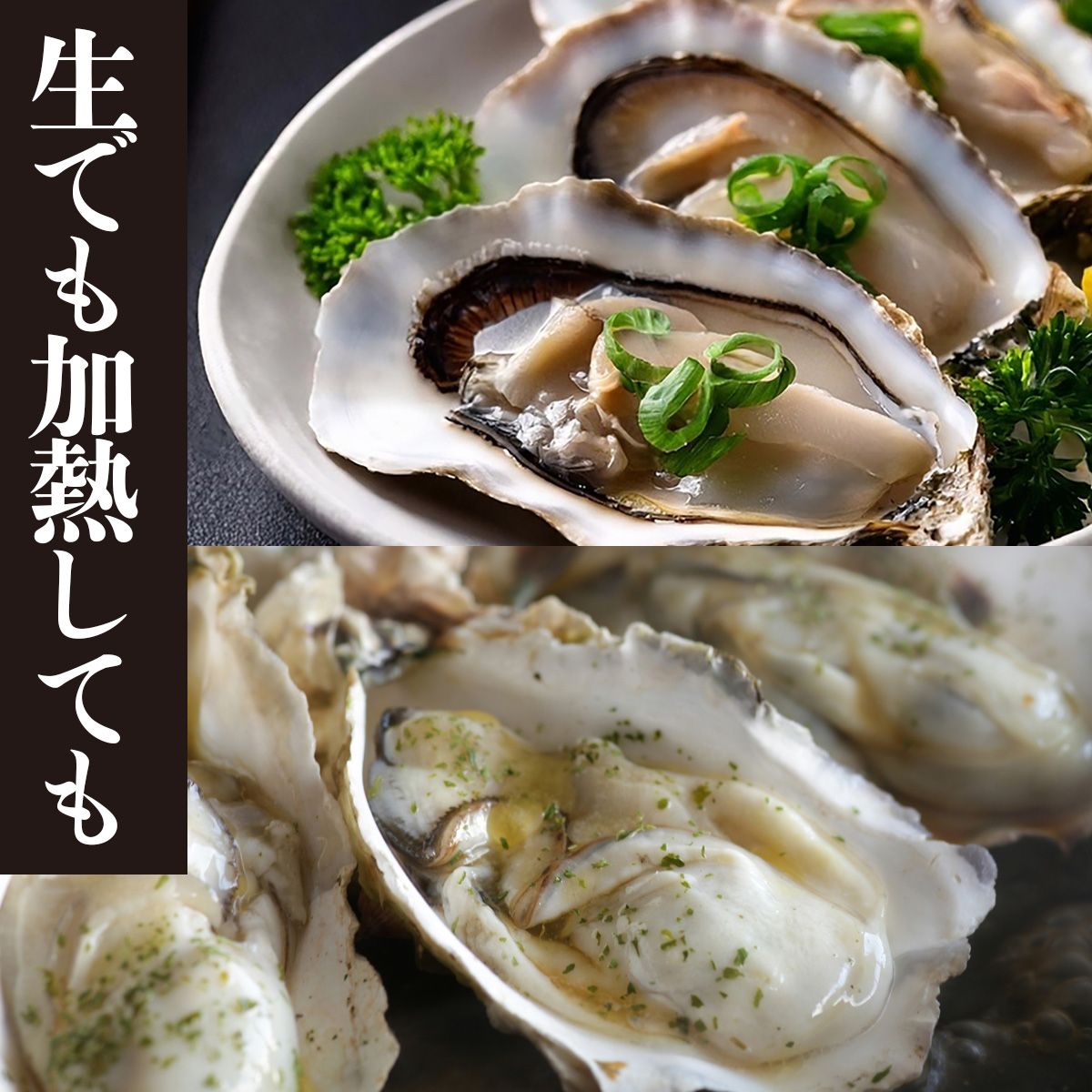 牡蠣 生食用