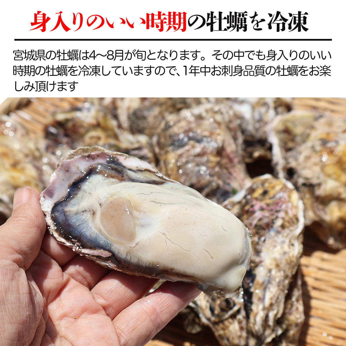 牡蠣 生食用 身入り