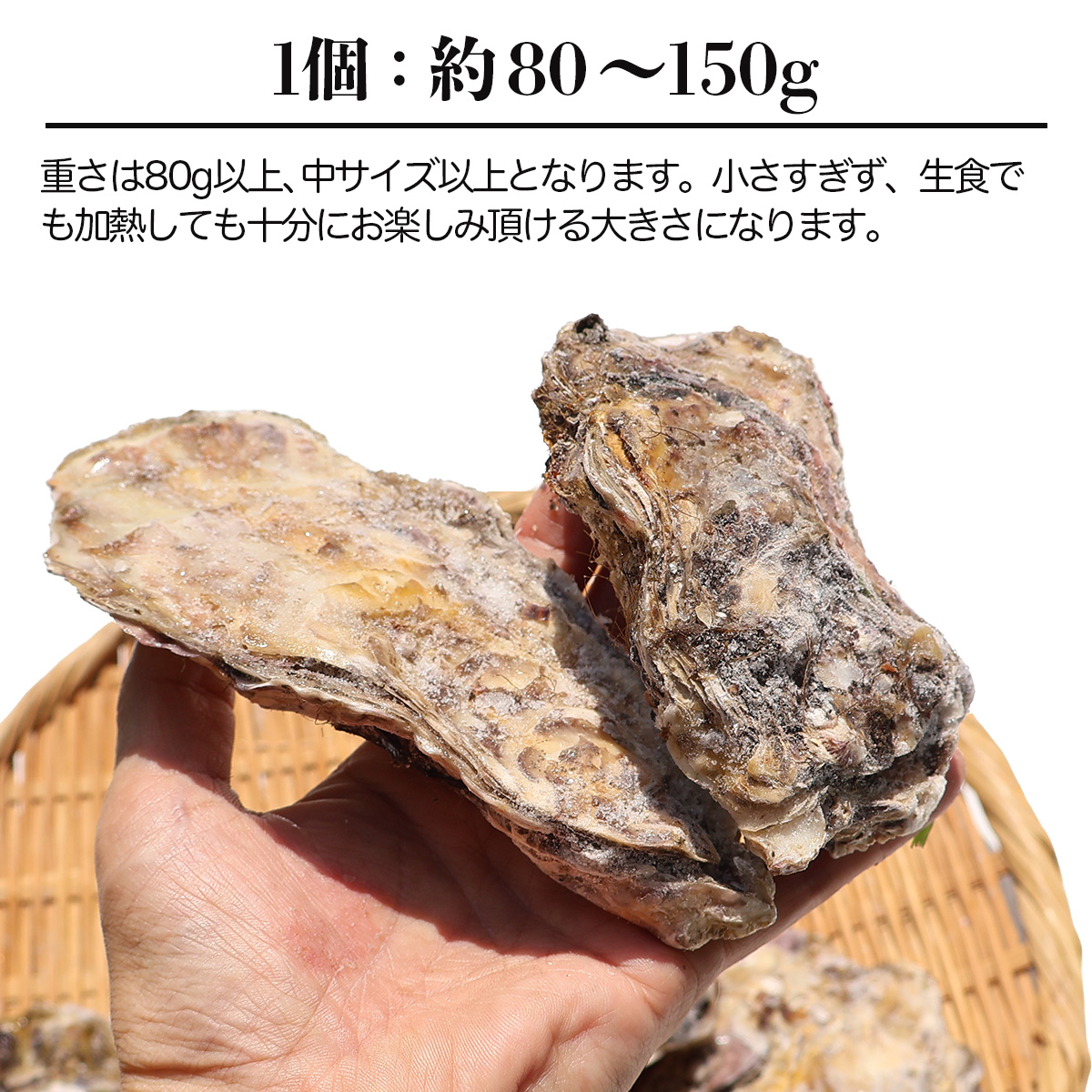 牡蠣 生食用 大粒 中粒