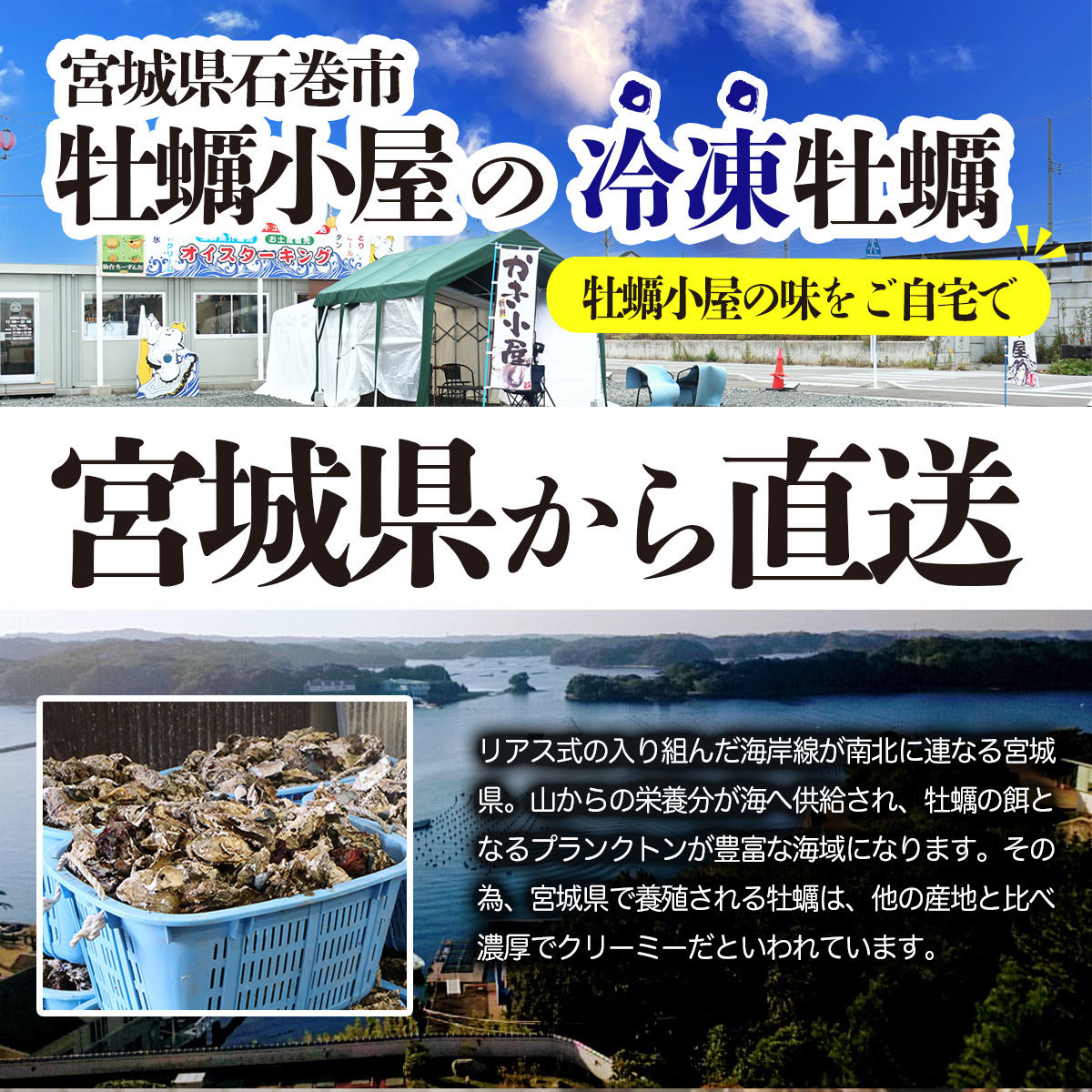 牡蠣 生食用 宮城県 産地直送 産直