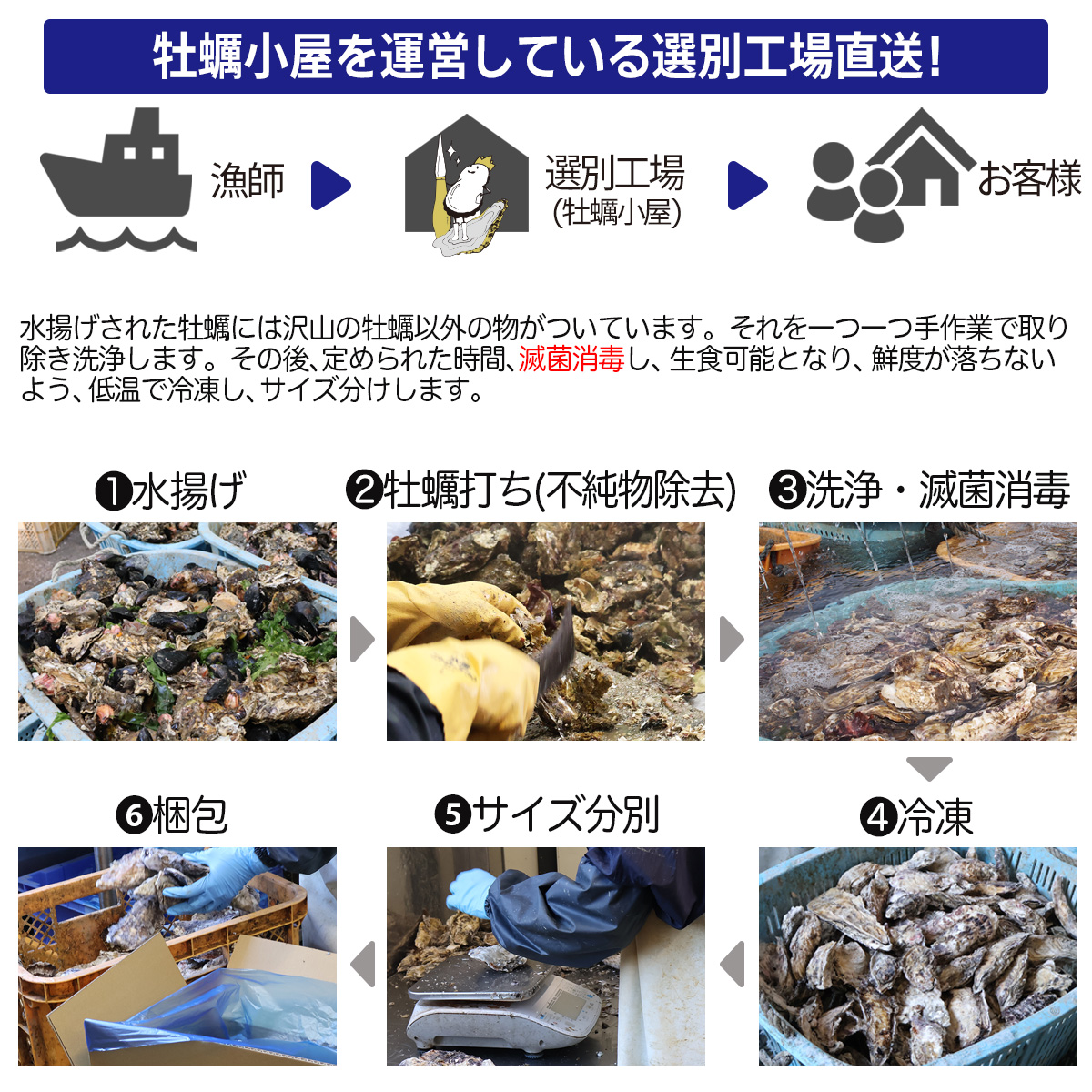 牡蠣 冷凍 製造工程