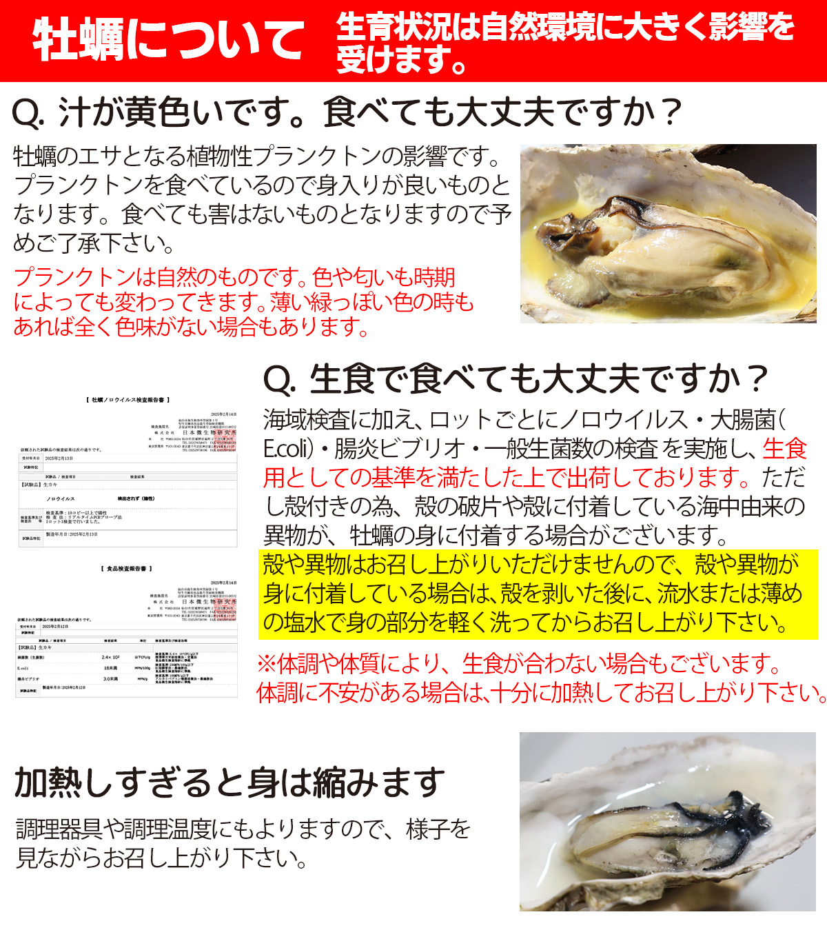 牡蠣 冷凍 注意事項