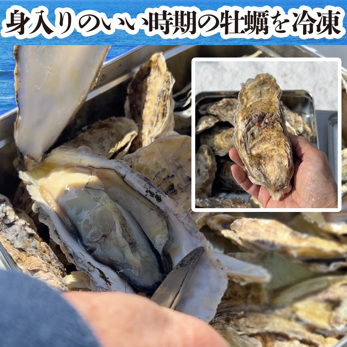 牡蠣 殻付き 冷凍 大粒
