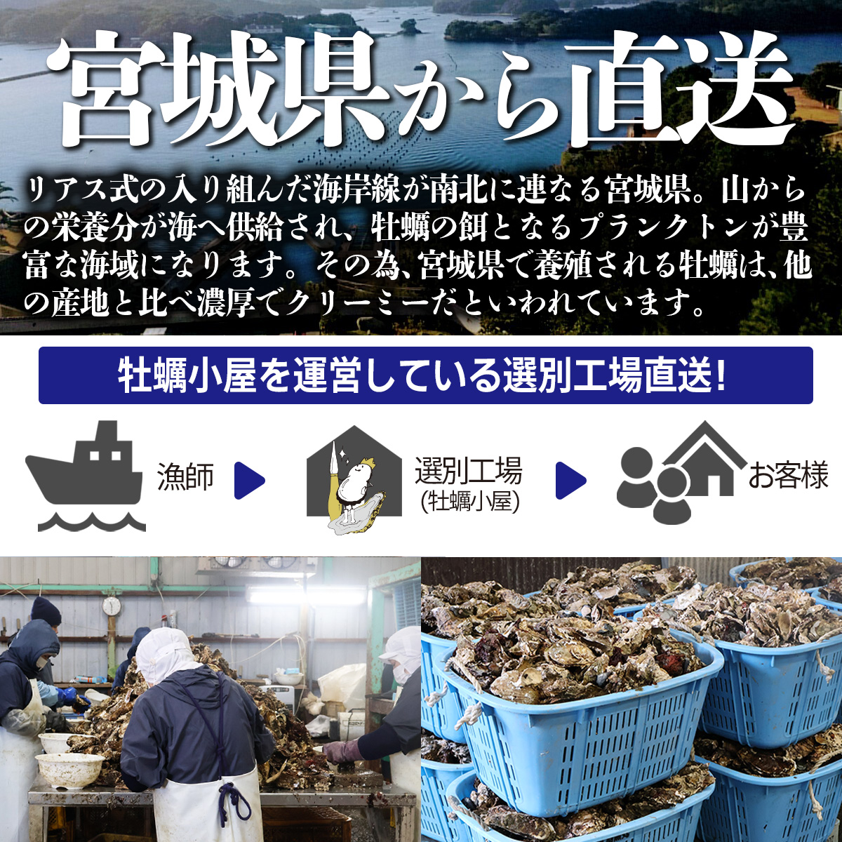 牡蠣 宮城 産地直送