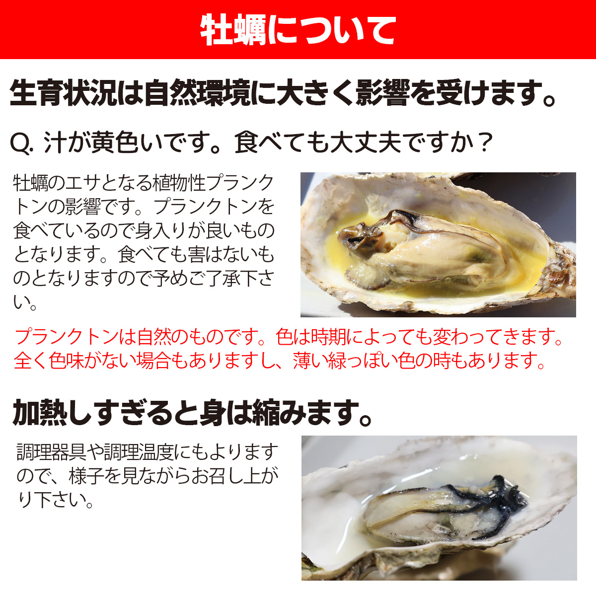 牡蠣 冷凍 注意事項