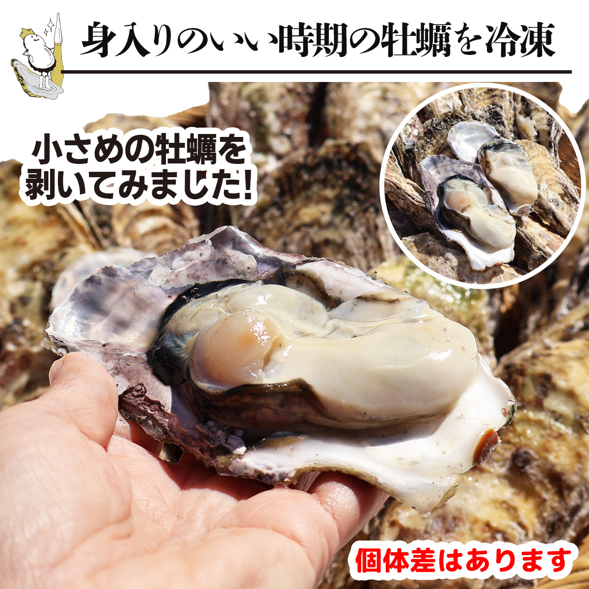 牡蠣 身入りのいい時期の牡蠣