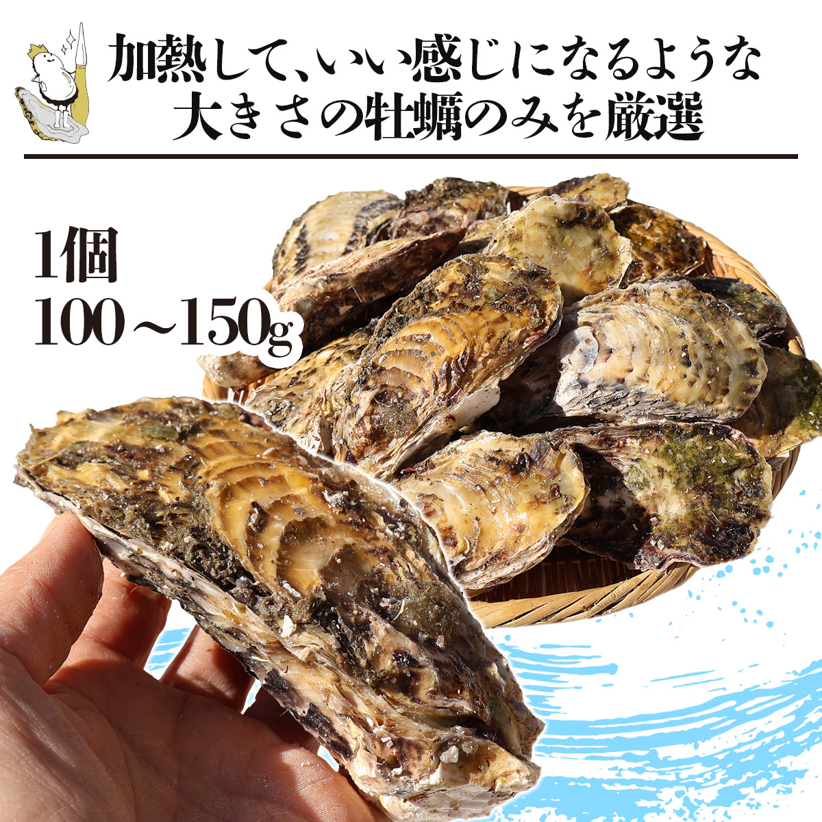 牡蠣 大サイズ 特大 中粒