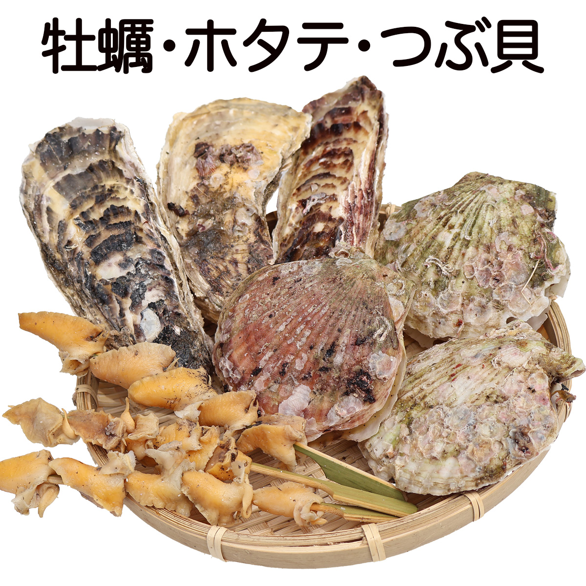 牡蠣 殻付き 産地直送 宮城県 産直