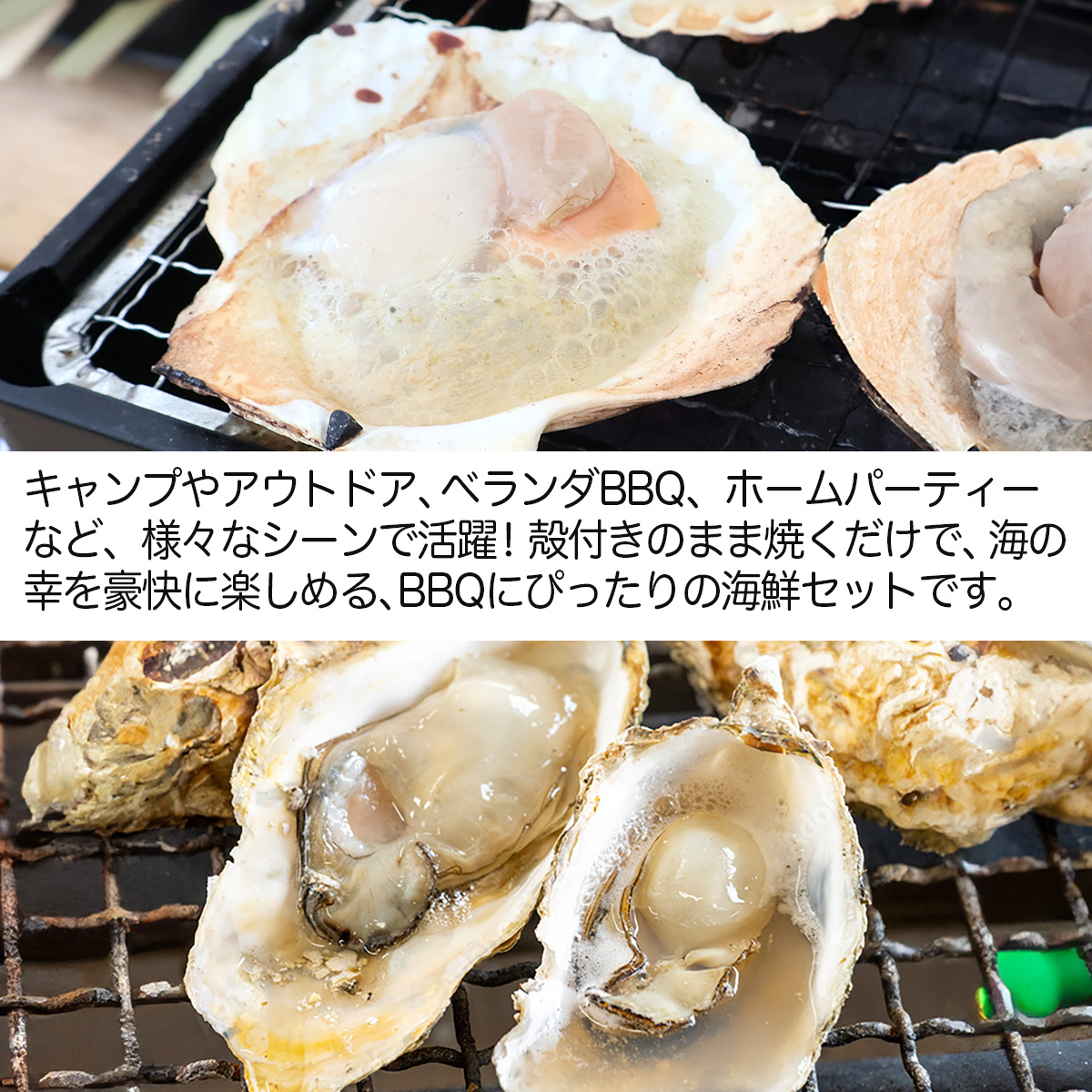 海鮮 バーベキュー BBQ 食材
