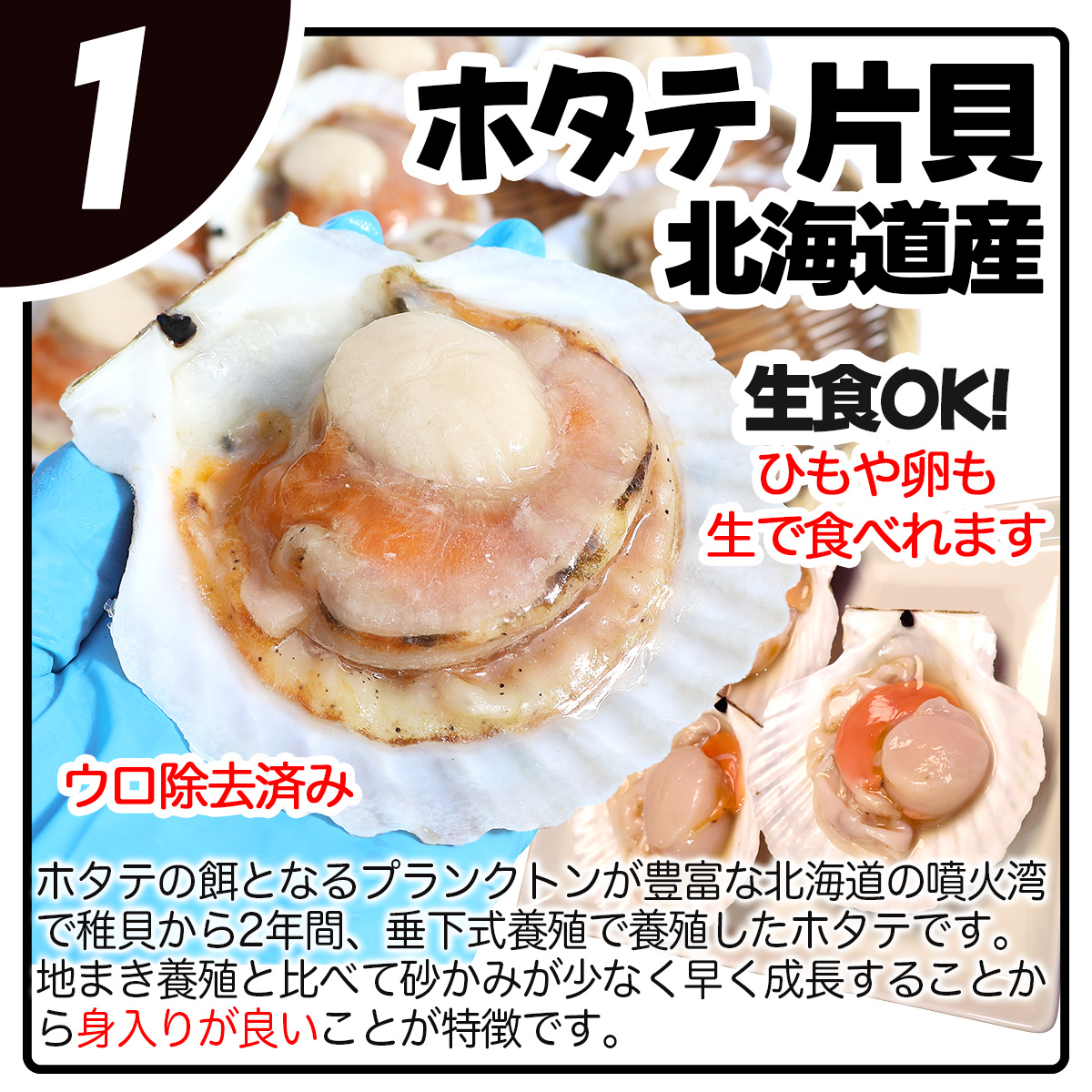 ホタテ 北海道 刺身 生食用