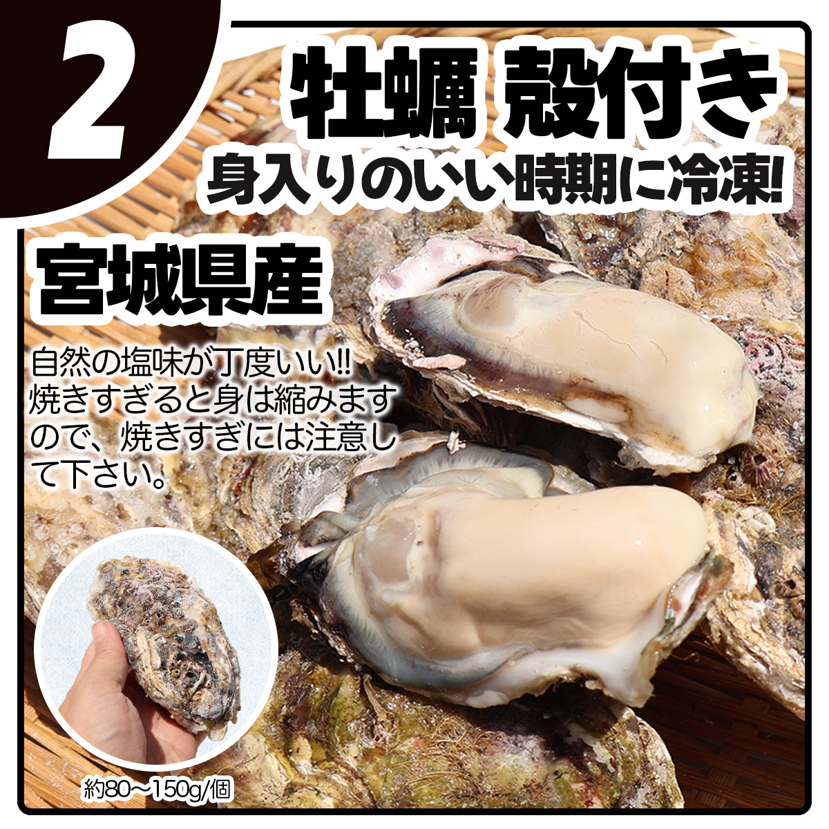 牡蠣 宮城県 産地直送 産直