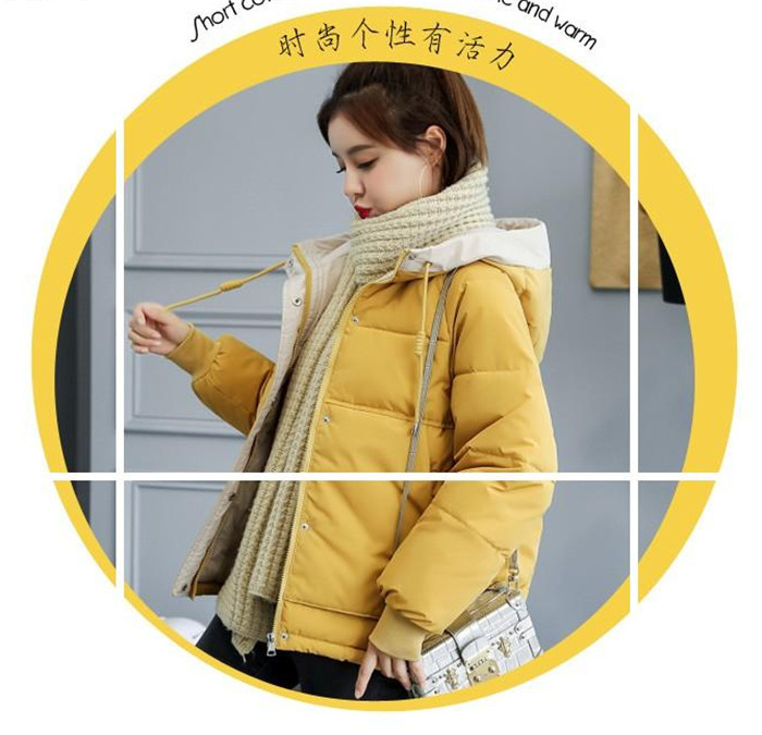 ダウンジャケット レディース 中綿ジャケット 長袖 フード付き 無地