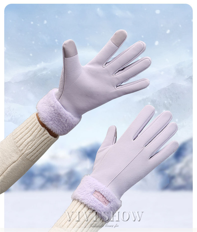 手袋 レディース グローブ 裏フリース スマホ対応 ボア 裏起毛