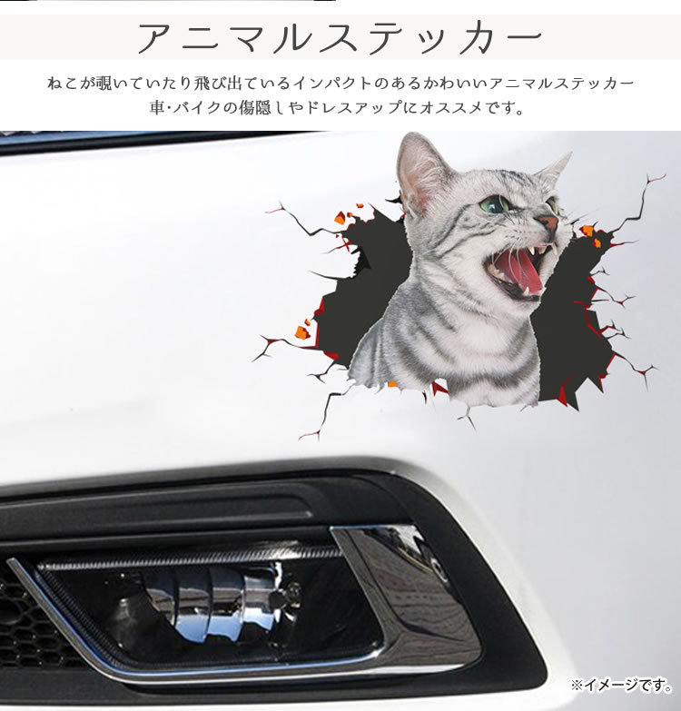 カーステッカー 猫 シール かわいい 動物 アニマル ドレスアップ 車 バイク カー用品 ステッカー カーステッカー 傷隠し PR-CATST02【メール便  送料無料】 :pr-catst02:フォーゲル - 通販 - Yahoo!ショッピング