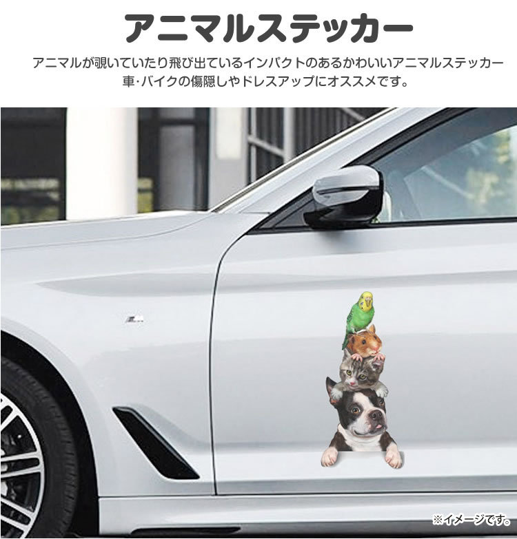 カーステッカー 犬 猫 ハムスター シール かわいい 動物 アニマル ドレスアップ 車 バイク カー用品 ステッカー カーステッカー 傷隠し :pr-groupst:フォーゲル  - 通販 - Yahoo!ショッピング