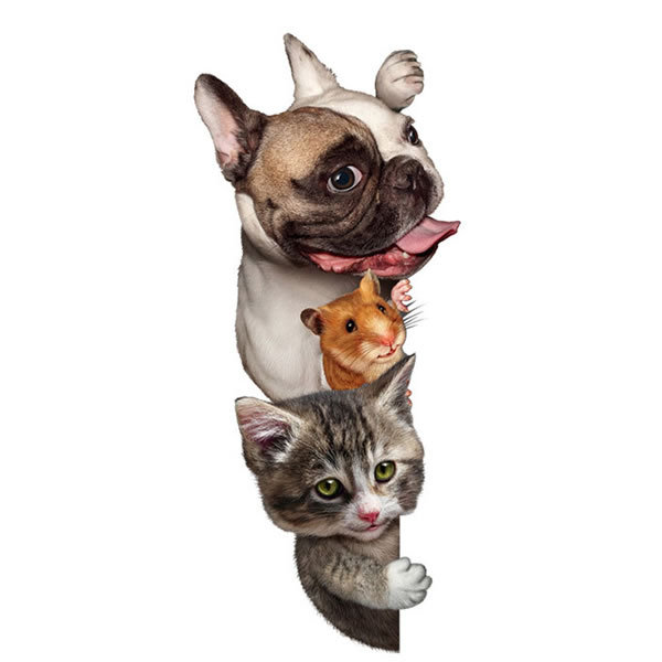 カーステッカー 犬 猫 ハムスター シール かわいい 動物 アニマル ドレスアップ 車 バイク カー用品 ステッカー カーステッカー 傷隠し Pr Groupst フォーゲル 通販 Yahoo ショッピング カーステッカー 犬 猫 ハムスター シール かわいい 動物 アニマル ドレスアップ 車 バイク カー用品 ステッカー カーステッカー 傷隠し Pr Groupst フォーゲル 通販 Yahoo ショッピング