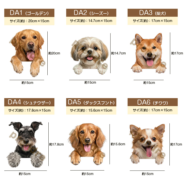 犬 ステッカー ダックスフンド 覗き見る犬 かわいい 動物 アニマル