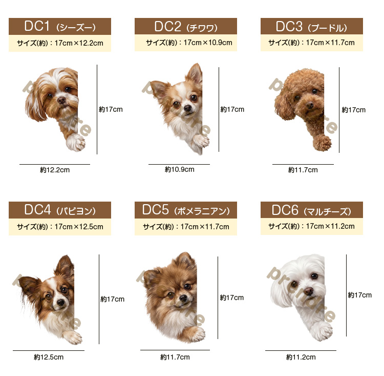 犬 ステッカー シーズー 覗き込む犬 かわいい 動物 アニマル シール