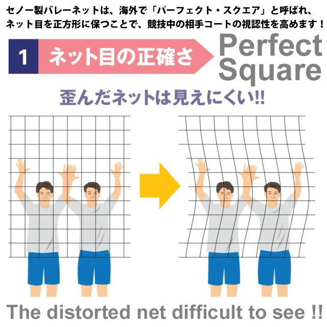 セノー(Senoh) バレーボール 6人制ネット DE8003 : de8003