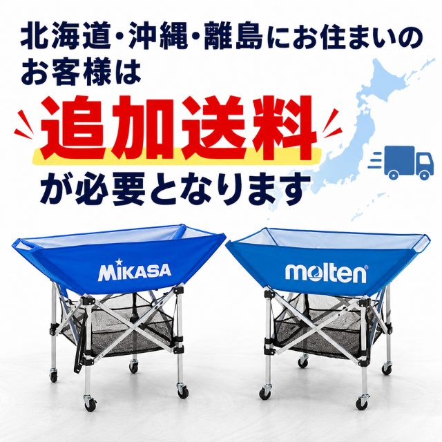 molten（モルテン） ネーム入り ネット・支柱・キャリーケース付き