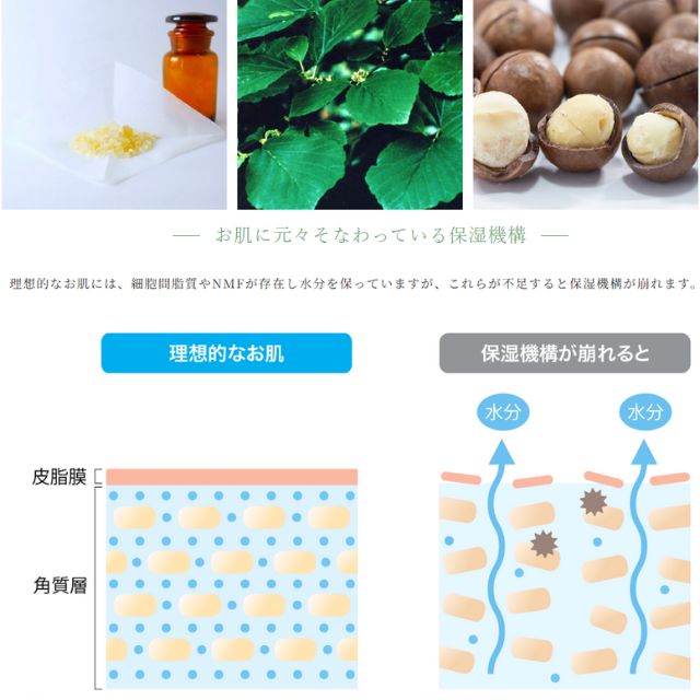 ヒノキ肌粧品 REターンローション 化粧水 ヒノキ 120mL×2本セット