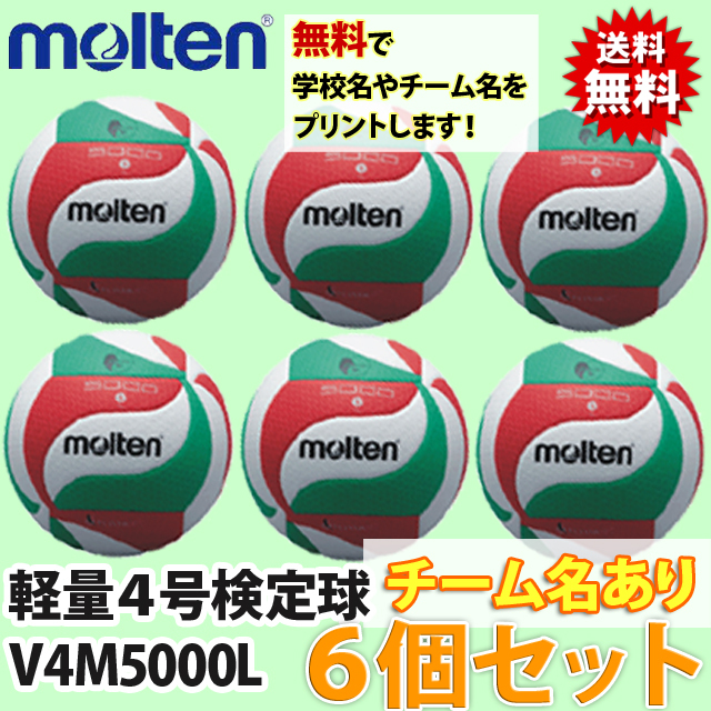 V4M5000L-6SET-NAME