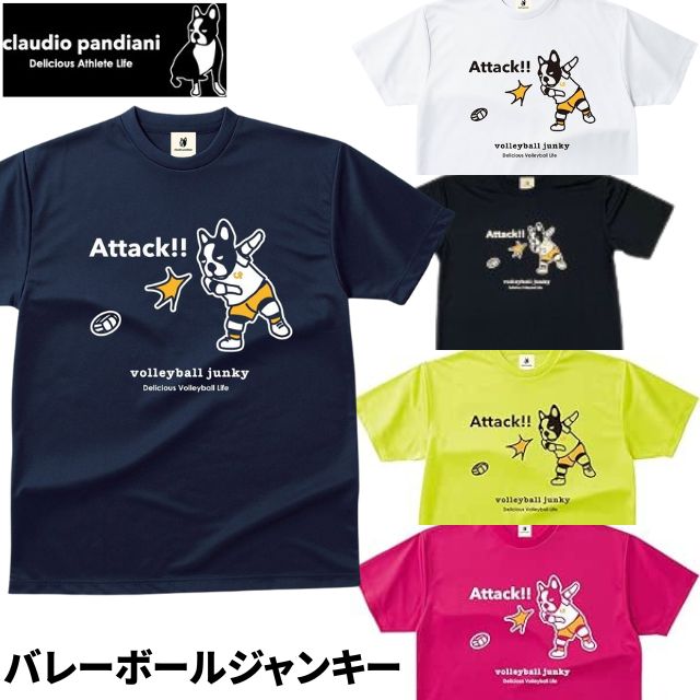 SoccerJunky サッカージャンキー バレーボール プラクティス