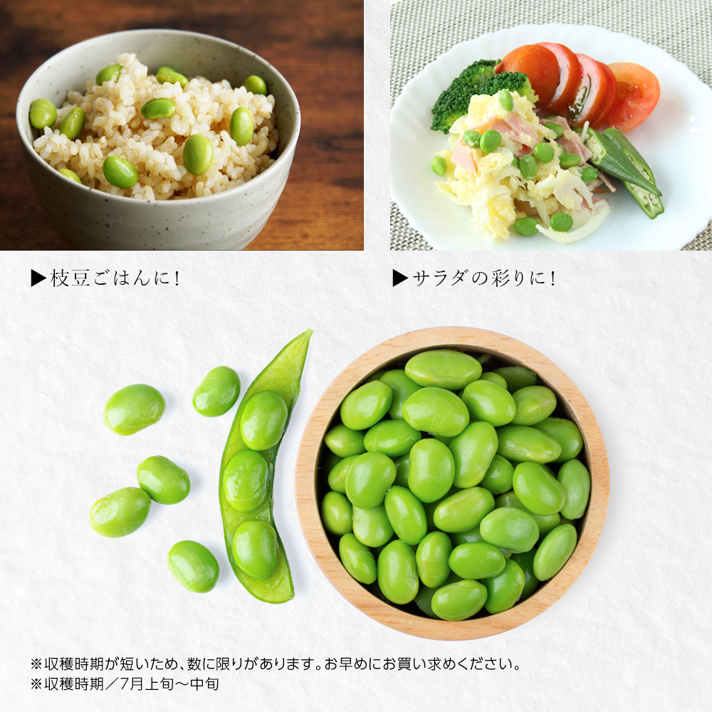 産地直送 新潟県黒埼産 おつな姫 青豆 1kg
