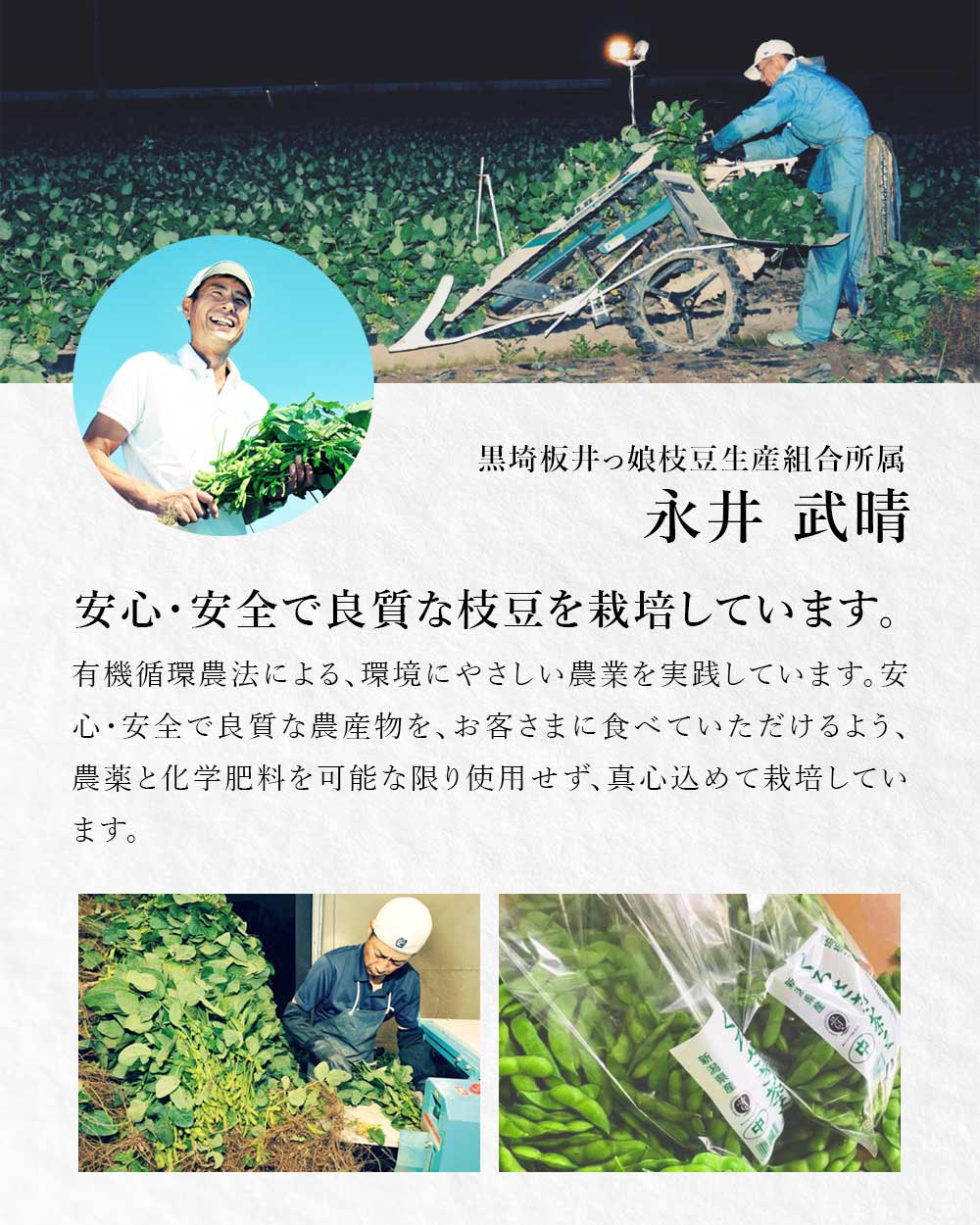 産地直送 新潟県黒埼産 おつな姫 青豆 1kg